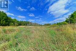 LOT 29 PRINCE OF WALES ROAD W | Mulmur Ontario | Slide Image Thirteen
