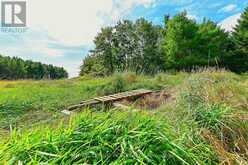 LOT 29 PRINCE OF WALES ROAD W | Mulmur Ontario | Slide Image Fourteen