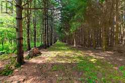 LOT 29 PRINCE OF WALES ROAD W | Mulmur Ontario | Slide Image Sixteen