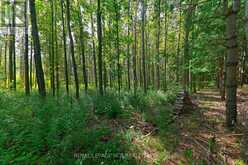 LOT 29 PRINCE OF WALES ROAD W | Mulmur Ontario | Slide Image Seventeen