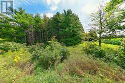 LOT 29 PRINCE OF WALES ROAD W | Mulmur Ontario | Slide Image Twenty-one
