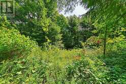 LOT 29 PRINCE OF WALES ROAD W | Mulmur Ontario | Slide Image Four