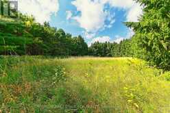 LOT 29 PRINCE OF WALES ROAD W | Mulmur Ontario | Slide Image Five