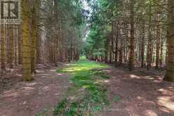 LOT 29 PRINCE OF WALES ROAD W | Mulmur Ontario | Slide Image Six
