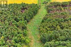 LOT 29 PRINCE OF WALES ROAD W | Mulmur Ontario | Slide Image Nine