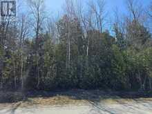 LOT1 RED BAY ROAD | Georgian Bluffs Ontario | Slide Image Six