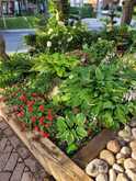 219 BROADWAY AVENUE | Toronto Ontario | Slide Image Forty-nine