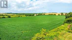 245097 5TH SIDE ROAD | Orangeville Ontario | Slide Image Thirteen