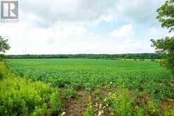 245097 5TH SIDE ROAD | Orangeville Ontario | Slide Image Nineteen