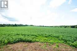 245097 5TH SIDE ROAD | Orangeville Ontario | Slide Image Twenty-two