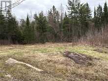 1014 BULRUSH TRAIL | Highlands East Ontario | Slide Image Eleven