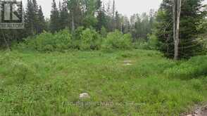 1014 BULRUSH TRAIL | Highlands East Ontario | Slide Image Twelve