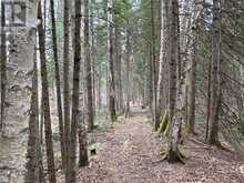 1014 BULRUSH TRAIL | Highlands East Ontario | Slide Image One