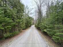 1014 BULRUSH TRAIL | Highlands East Ontario | Slide Image Five