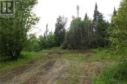 1014 BULRUSH TRAIL | Highlands East Ontario | Slide Image Seven