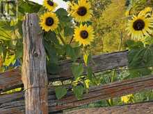 143 CONCESSION 14 ROAD E | Hastings Ontario | Slide Image Forty-six