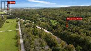 8051 COUNTY ROAD 9 | Creemore Ontario | Slide Image Thirty-one