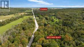 8051 COUNTY ROAD 9 | Creemore Ontario | Slide Image Thirty-two