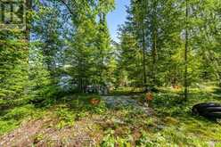 17000 HWY 35 | Huntsville Ontario | Slide Image Nineteen