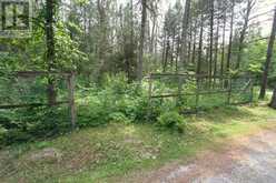 176 MARITIME ROAD | Kawartha Lakes Ontario | Slide Image Thirty-four