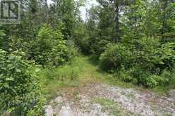 176 MARITIME ROAD | Kawartha Lakes Ontario | Slide Image Forty