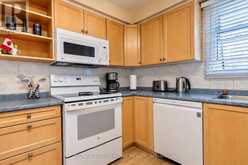 38 PURPLE SAGEWAY | Toronto Ontario | Slide Image Ten