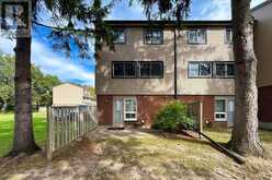 38 PURPLE SAGEWAY | Toronto Ontario | Slide Image Thirty-eight