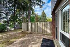 38 PURPLE SAGEWAY | Toronto Ontario | Slide Image Forty-four