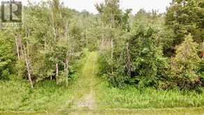 PT LT 80 GREY RD 124 GREY ROAD | Grey Highlands Ontario | Slide Image Four