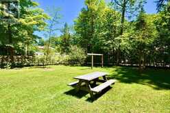 39 DOMAR ROAD | Tiny Ontario | Slide Image Twenty-eight