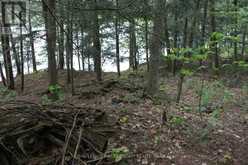 10 HEALEY LAKE ROAD | MacTier Ontario | Slide Image Twenty-seven