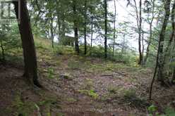 10 HEALEY LAKE ROAD | MacTier Ontario | Slide Image Twenty-six