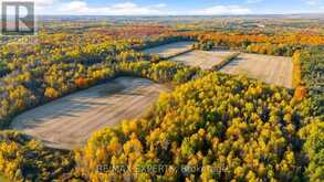 5188 HIGHWAY 26 HIGHWAY W | Stayner Ontario | Slide Image Fifteen