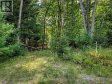 131 DEERFOOT TRAIL | Huntsville Ontario | Slide Image Two