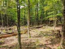 131 DEERFOOT TRAIL | Huntsville Ontario | Slide Image Six