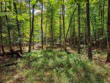 131 DEERFOOT TRAIL | Huntsville Ontario | Slide Image Three