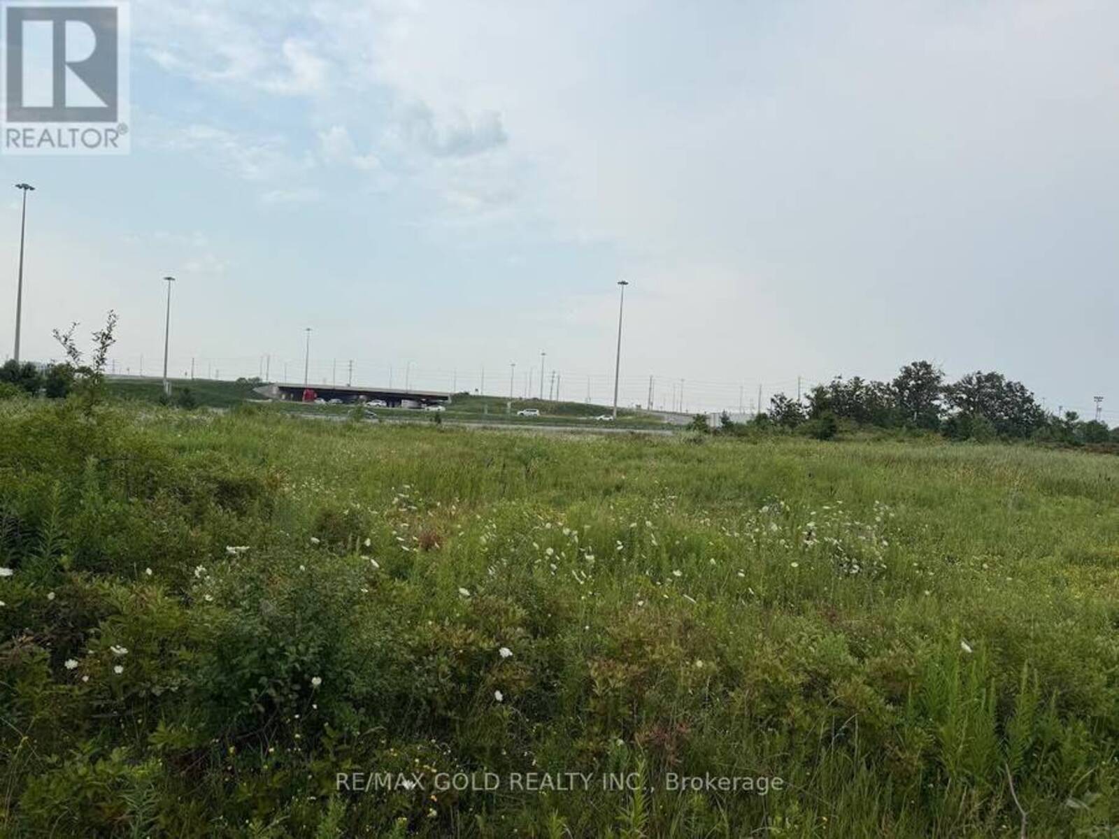 141 CHISHOLM DRIVE, Milton, Ontario L9T 4A6
