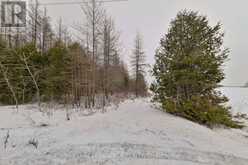 LOT 31 9 COUNTY ROAD | Dundalk Ontario | Slide Image Ten