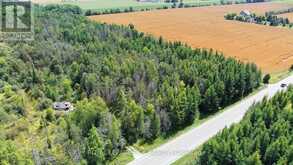 LOT 31 9 COUNTY ROAD | Dundalk Ontario | Slide Image One