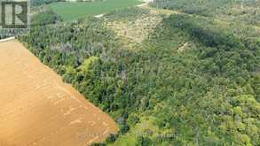 LOT 31 9 COUNTY ROAD | Dundalk Ontario | Slide Image Two