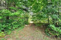 1194 WINHARA ROAD | Gravenhurst Ontario | Slide Image Forty-two