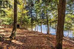 0 THOMPSON PORTAGE ROAD | Dwight Ontario | Slide Image Twelve