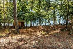 0 THOMPSON PORTAGE ROAD | Dwight Ontario | Slide Image Sixteen