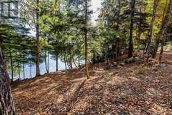 0 THOMPSON PORTAGE ROAD | Dwight Ontario | Slide Image Seventeen