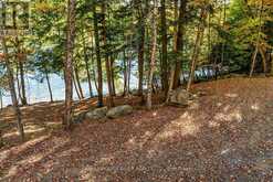 0 THOMPSON PORTAGE ROAD | Dwight Ontario | Slide Image Nineteen