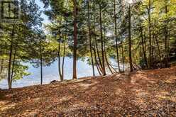 0 THOMPSON PORTAGE ROAD | Dwight Ontario | Slide Image One