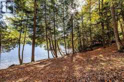 0 THOMPSON PORTAGE ROAD | Dwight Ontario | Slide Image Twenty-three