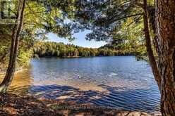 0 THOMPSON PORTAGE ROAD | Dwight Ontario | Slide Image Two