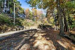 0 THOMPSON PORTAGE ROAD | Dwight Ontario | Slide Image Three