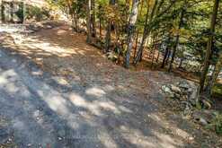 0 THOMPSON PORTAGE ROAD | Dwight Ontario | Slide Image Seven